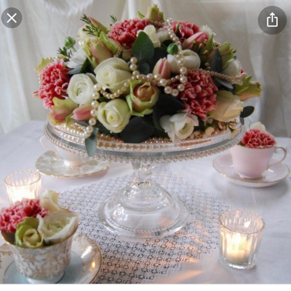 Meet your Posher, Wilma